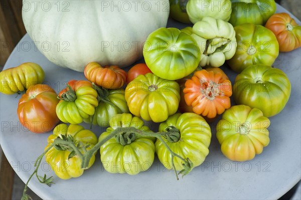 Plate of heirloom tomatoes