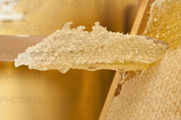 Close up of knife cutting honeycomb