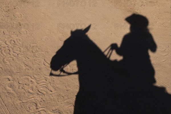 Shadow of woman riding horse