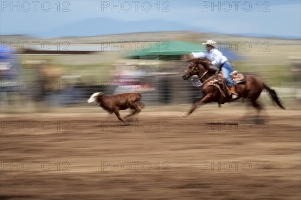 Cowgirl chasing calf in rodeo