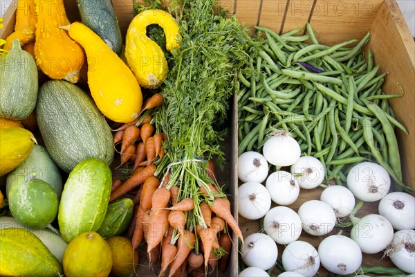 Fresh vegetables at market