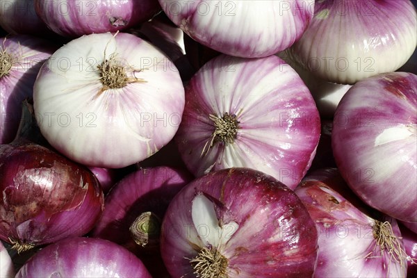 Pile of purple onions