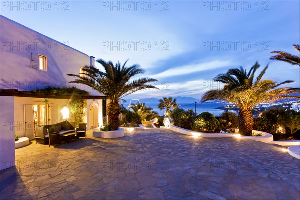 Palm trees on stone patio at sunset