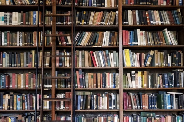 Ladder on library bookcase