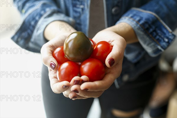 Hands of woman holding tomatoes