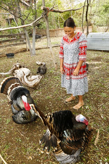 Mixed race woman watching turkeys and laughing