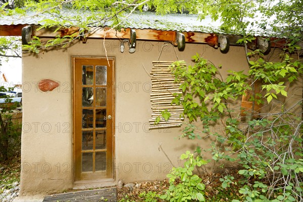 Foliage growing on house