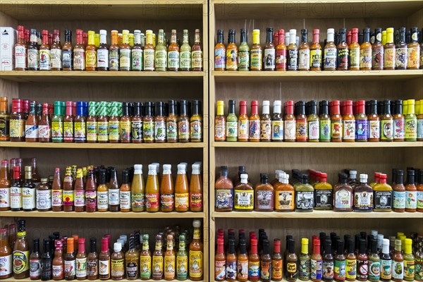 Jars of sauce on shelves in store