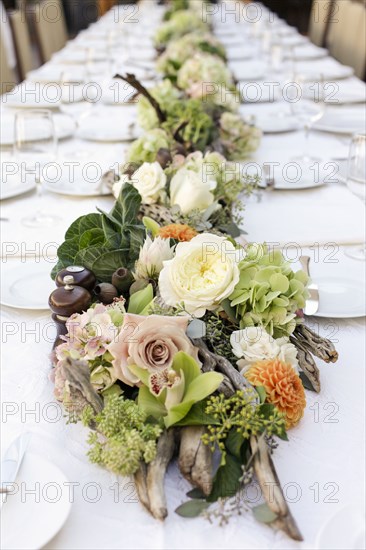 Row of flowers on table