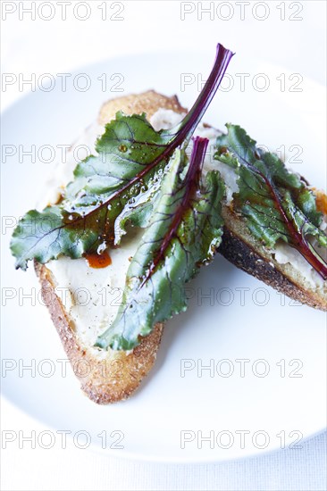 Close up of lettuce on toast