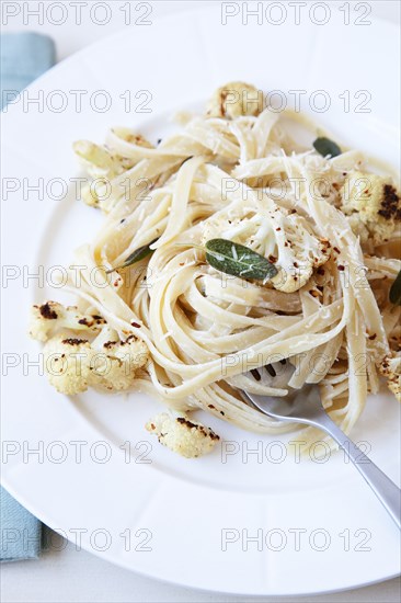 Fettucini on plate with fork