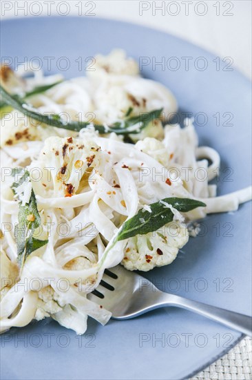 Plate of pasta