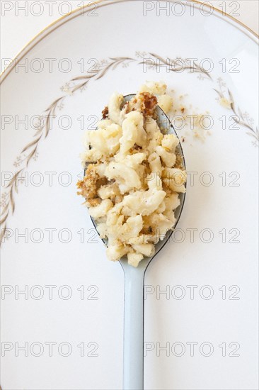 Close up of pasta on spoon