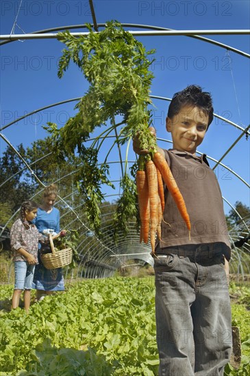 Hispanic boy holding bunch of organic carrots