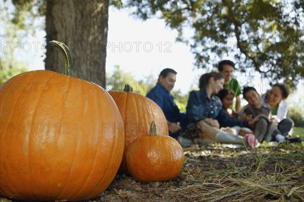 Pumpkins with family in background