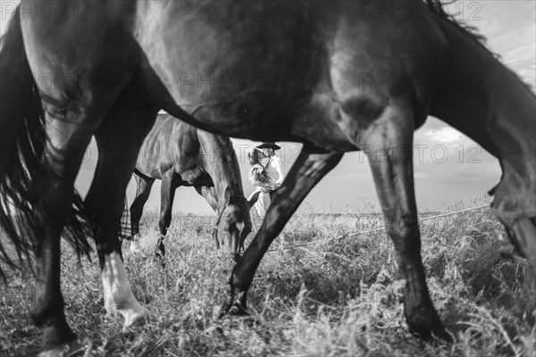 Horses framing distant Caucasian couple kissing