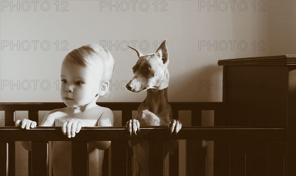 Caucasian boy standing in crib with puppy