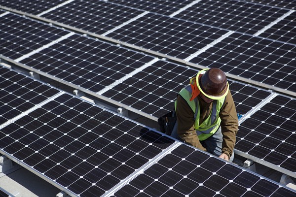 Worker examining solar panels outdoors