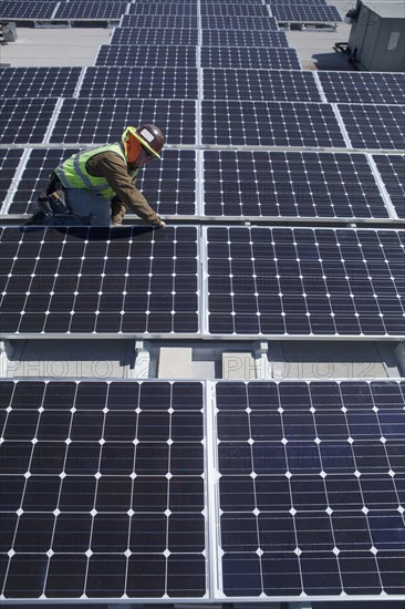 Worker examining solar panels outdoors