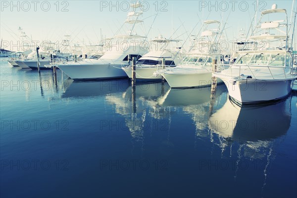 Yachts docked in harbor