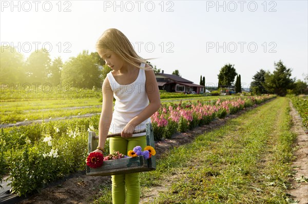 Caucasian girl picking flowers on farm