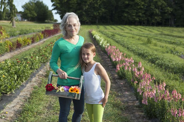 Caucasian grandmother and granddaughter picking flowers on farm