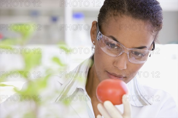 African scientist performing analysis in laboratory on tomato