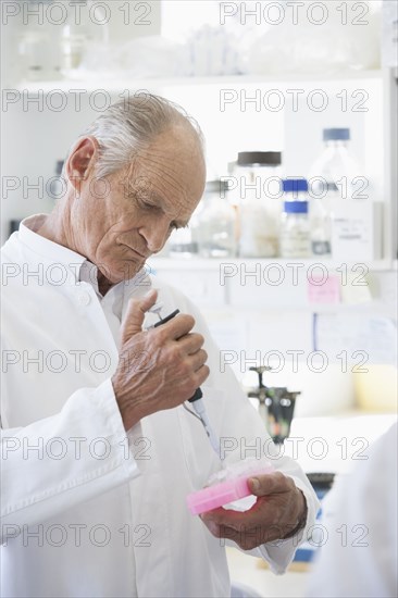 Senior Caucasian scientist testing samples in lab