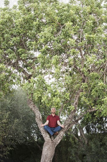 Man meditating in tree