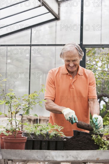 Man potting plants in greenhouse