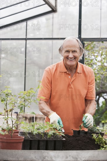 Man potting plants in greenhouse