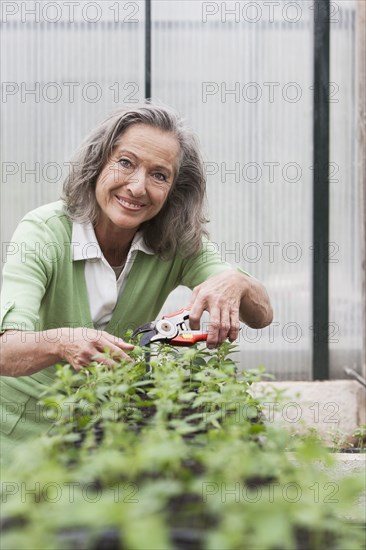 Woman pruning plants in greenhouse