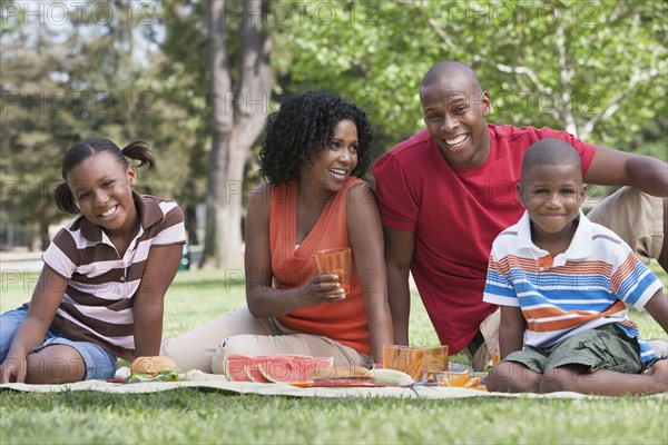 Family having picnic in park