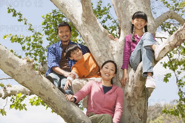 Family climbing tree together