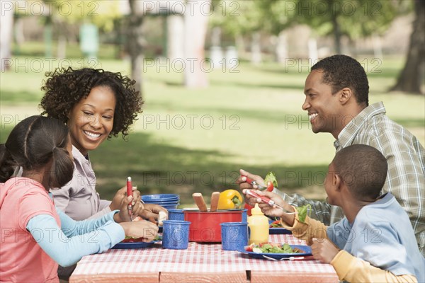 Family eating together at picnic