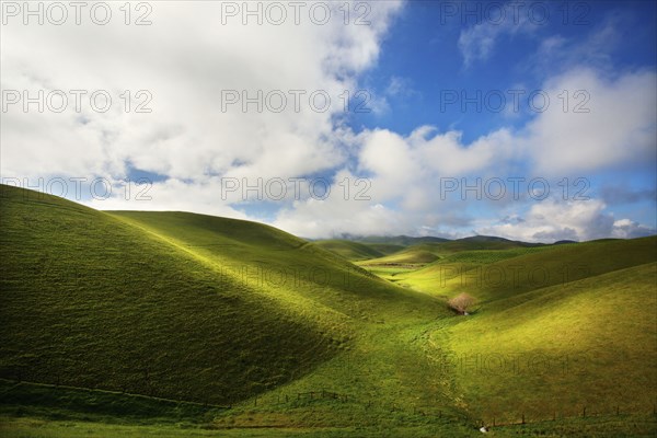 Rolling green hills