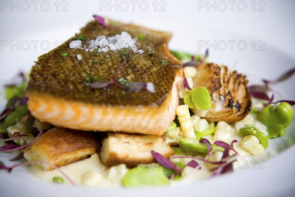 Close up of salmon entree on plate