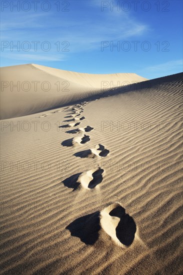 Footprints in sand on sand dune