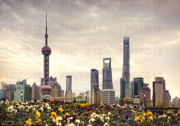 Shanghai city skyline over field of flowers