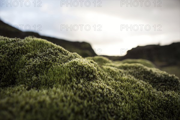 Close up of mossy rock in remote landscape
