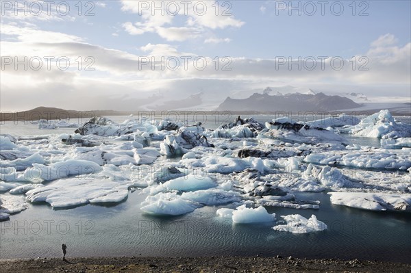 Glaciers floating near shore