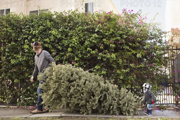 Father and son carrying pine tree