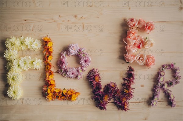 Flower spelled with flowers