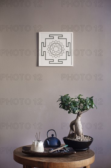 Incense and bonsai tree on table