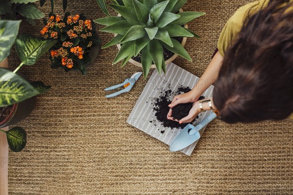 Caucasian woman planting potted plant