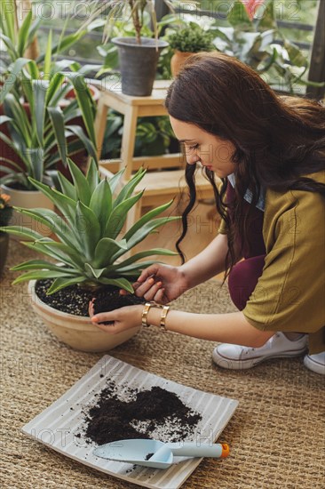 Caucasian woman planting potted plant