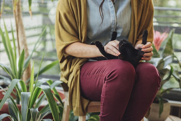 Caucasian woman playing with kitten