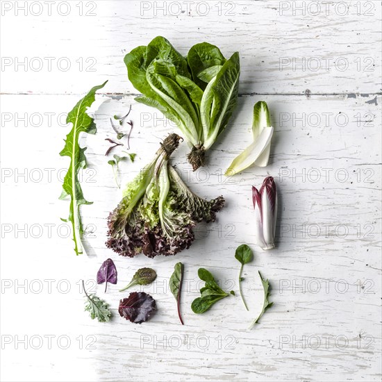 Variety of leaves on white wooden table