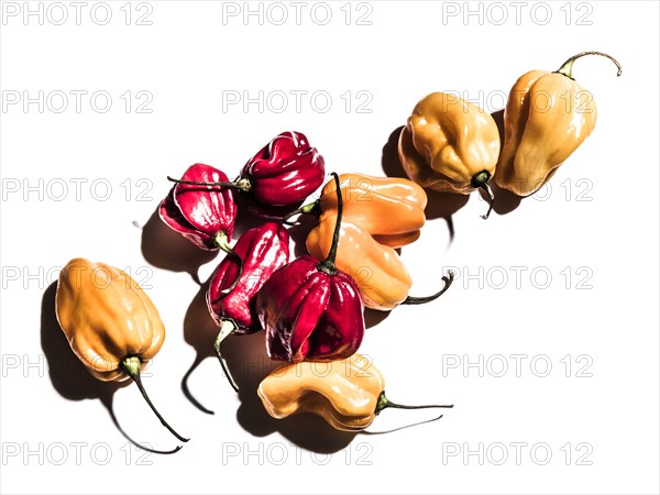 Variety of peppers