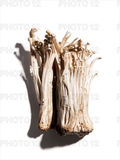 Enoki mushrooms